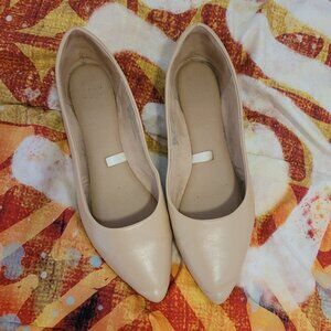 Pointy-toed Nude Flats